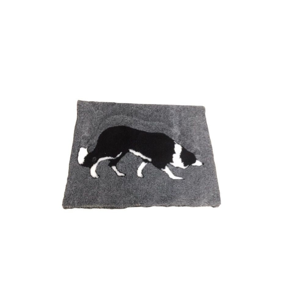 DryBed Premium VetBed Rutschfest grau mit Border Collie